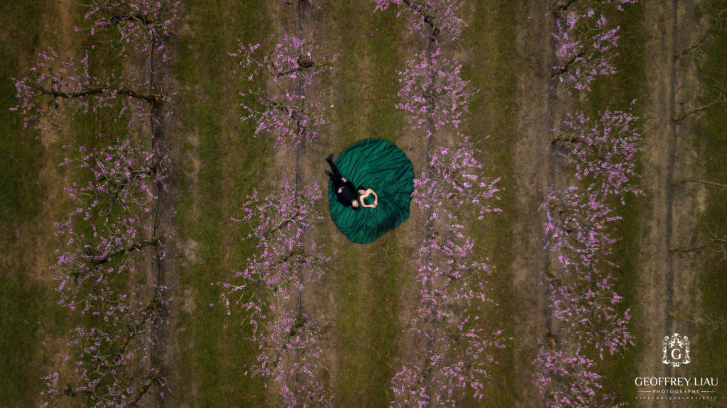 Perth Prewedding Photographer - Cherry Blossom