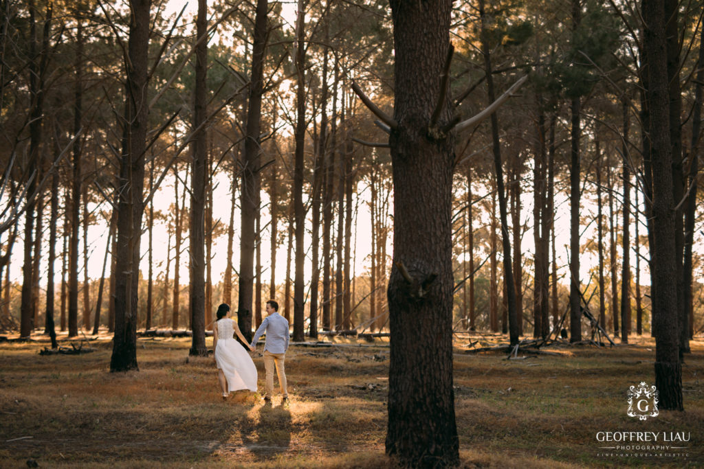 Perth Wedding Photographer Pine trees