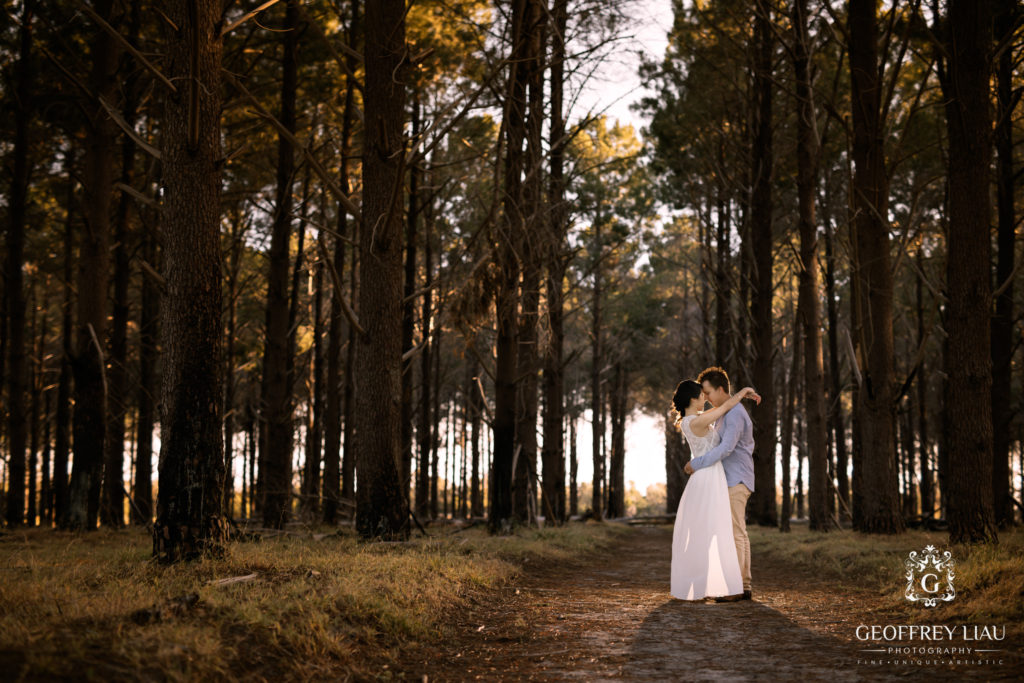 Perth Wedding Photographer Pine trees