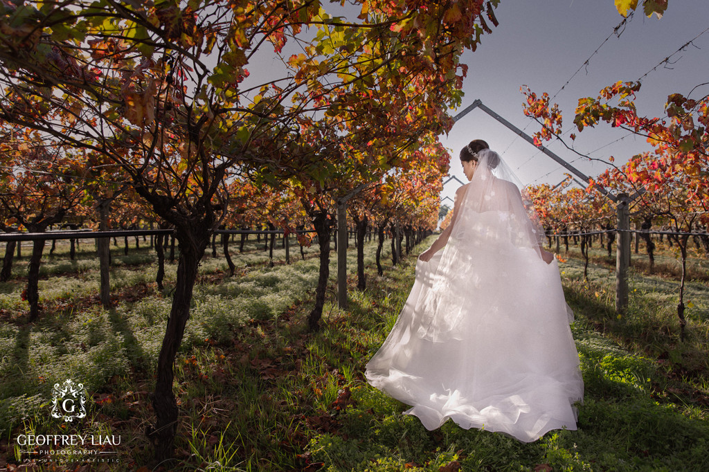 perth swan valley wedding photographer