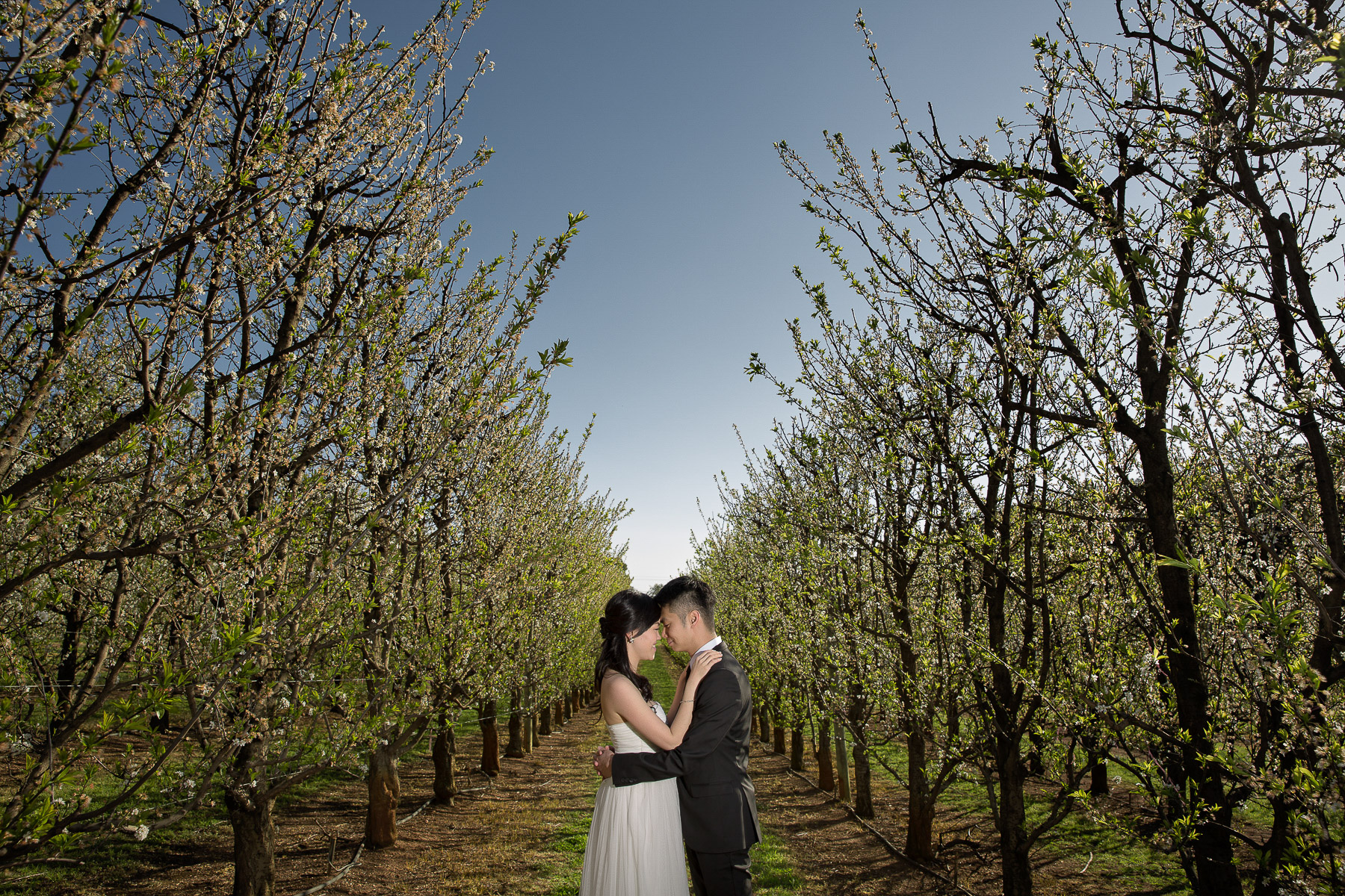 Bestof2015-Wedding-Photographer-Perth-076