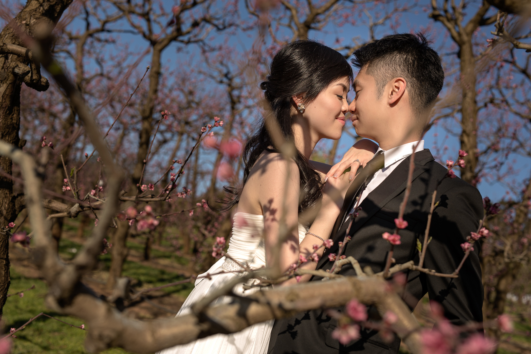 Cherry Blossom Prewedding Perth